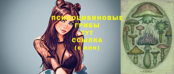 jwh Верея